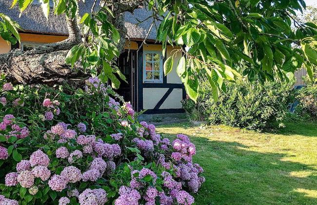 Idyllic Countryside Retreat-by Traum - Foto 23