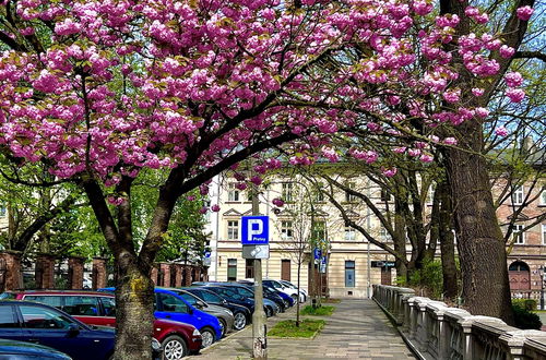 Photo 55 - Krakow Central Apartments