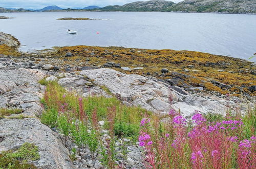 Photo 31 - Holiday Home in Rørvik