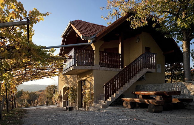 Vineyard Cottage Brodaric - Foto 1