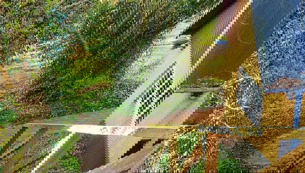 Imagem principal