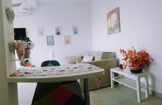 Guest house Djonovic - Photo 49
