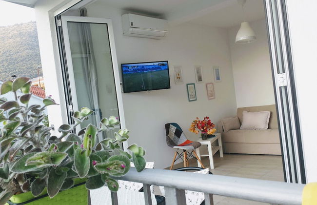 Guest house Djonovic - Photo 54