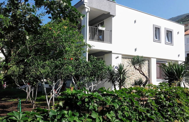 Guest house Djonovic - Photo 1
