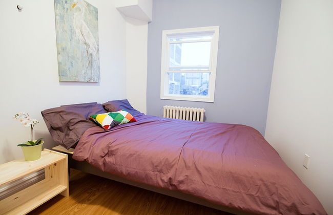 2 Bedroom Apartment near Kensington Market - Unit 9 - Photo 5