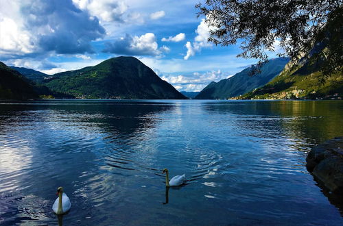 Photo 11 - Greenchalets Lago di Lugano Porlezza