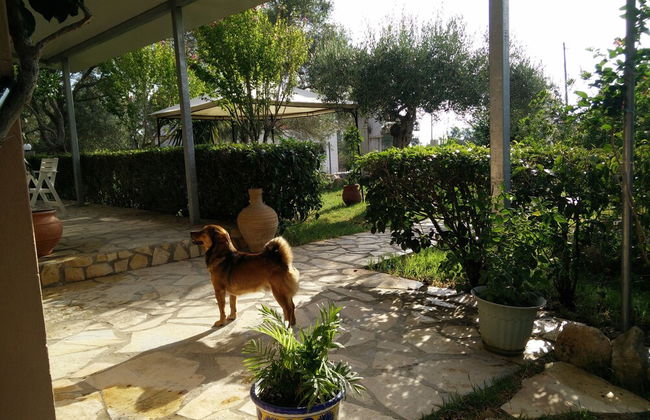 Villa Lou Corfu - Kalivioti Beach - Foto 31