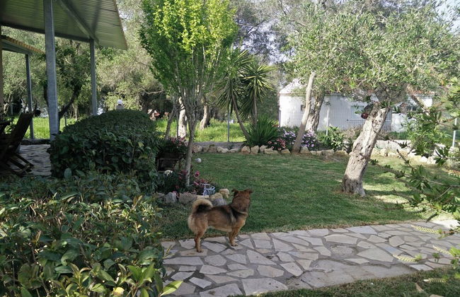 Villa Lou Corfu - Kalivioti Beach - Foto 28