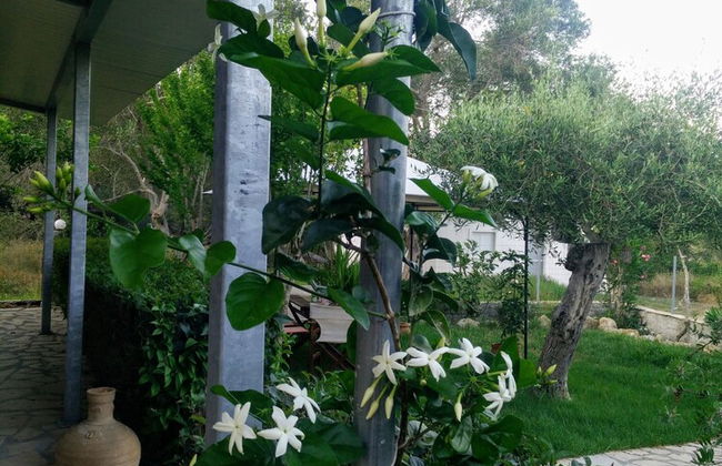 Villa Lou Corfu - Kalivioti Beach - Foto 29