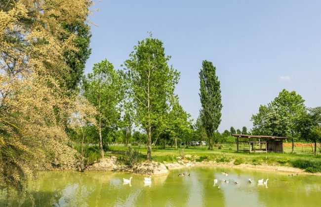 Agriturismo La Buona Terra Bio - Foto 11