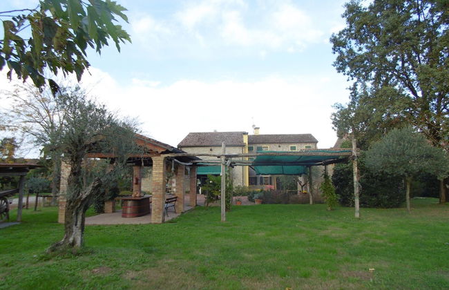 Agriturismo La Buona Terra Bio - Foto 8