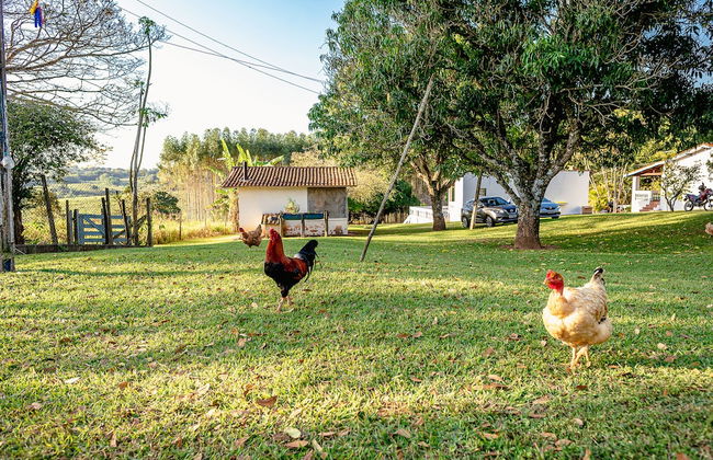 Sítio com piscina e lagoa particular - Foto 36