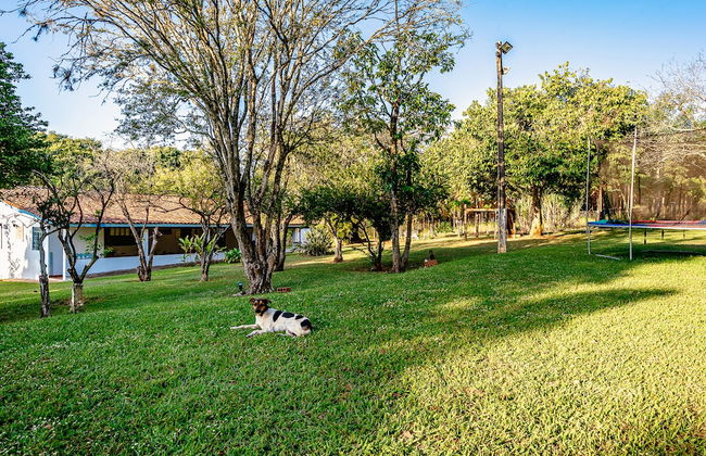 Sítio com piscina e lagoa particular - Foto 49