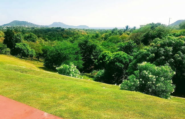 Sunny Palm Villas - Foto 13