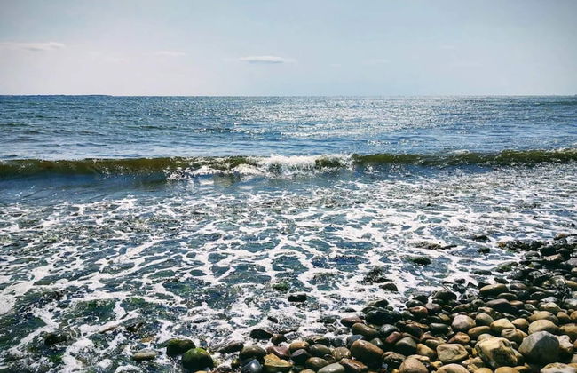 Holiday Home in Kalundborg - Foto 63