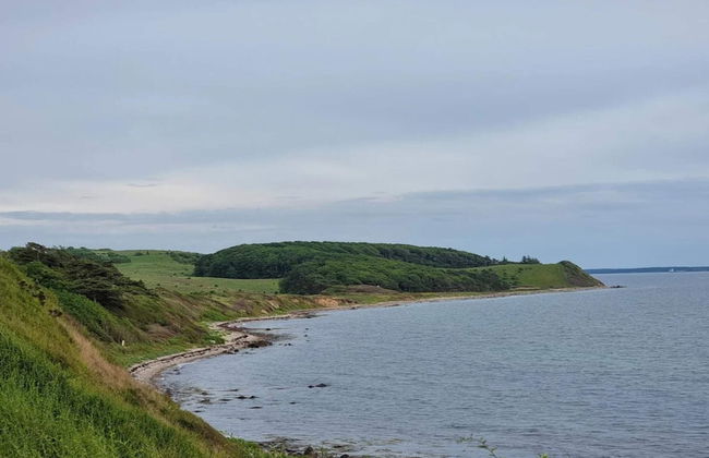Holiday Home in Kalundborg - Foto 52