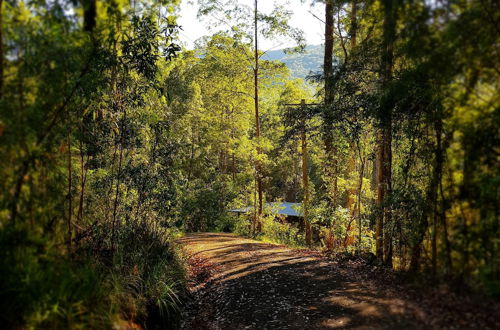 Photo 62 - Carawirry Forest Escape