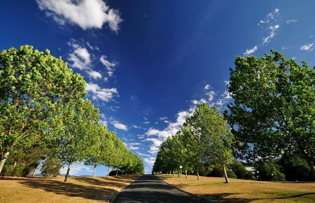 The Sebel Pinnacle Valley Resort - Foto 73