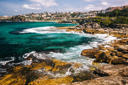 Photo 9 - Ultimate Bondi Living