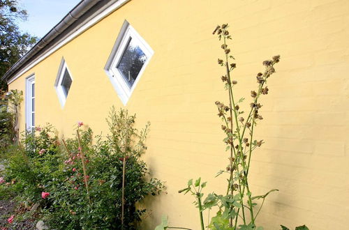 Photo 29 - Rustic Holiday Home in Skagen near Sea