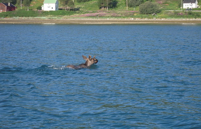 Furoy Hotel Apartments and Boating - Foto 34