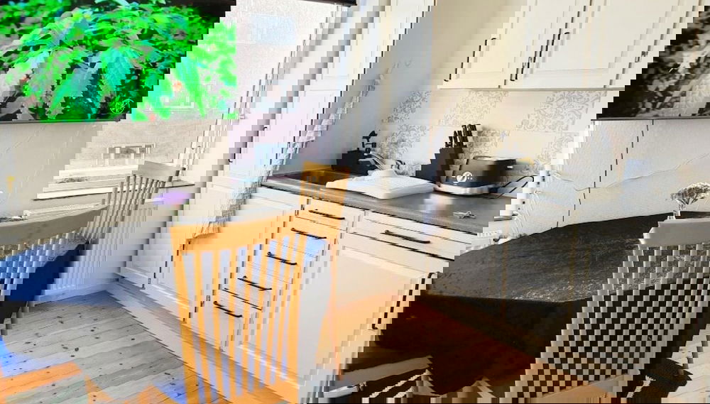 Imagem principal