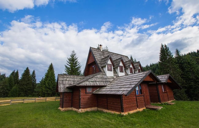 Green Mountain House Zelengora - Foto 9