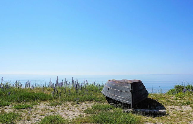 4 Person Holiday Home in Gotlands.tofta - Foto 57