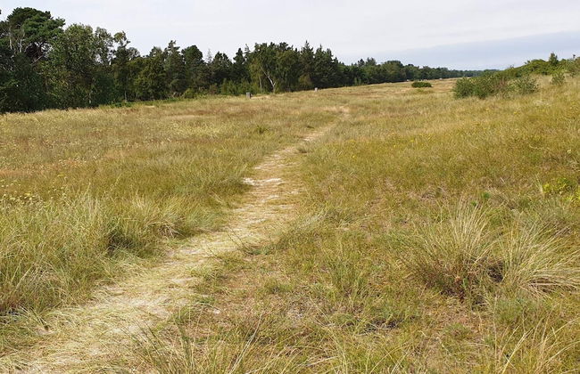 Holiday Home in Væggerløse - Foto 12