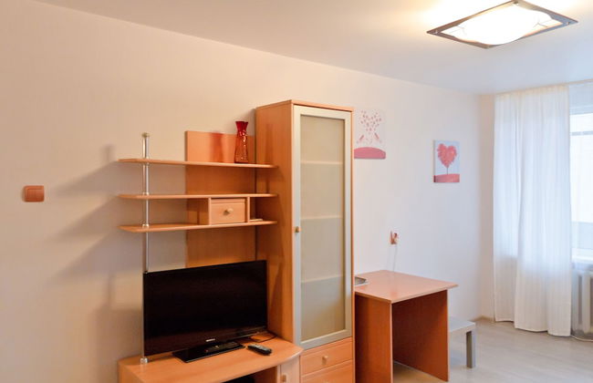 Apartment ALLiS-HALL on Chelyuskintsev 23 - Foto 7