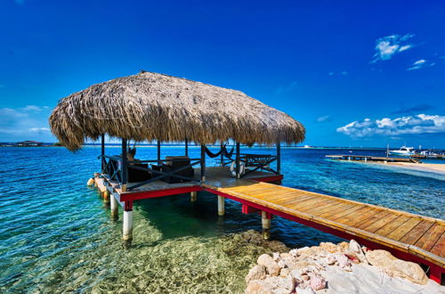 Photo 37 - Private Beach Ocean Front Boat Dock Tiki Bar