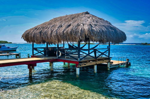 Photo 26 - Private Beach Ocean Front Boat Dock Tiki Bar