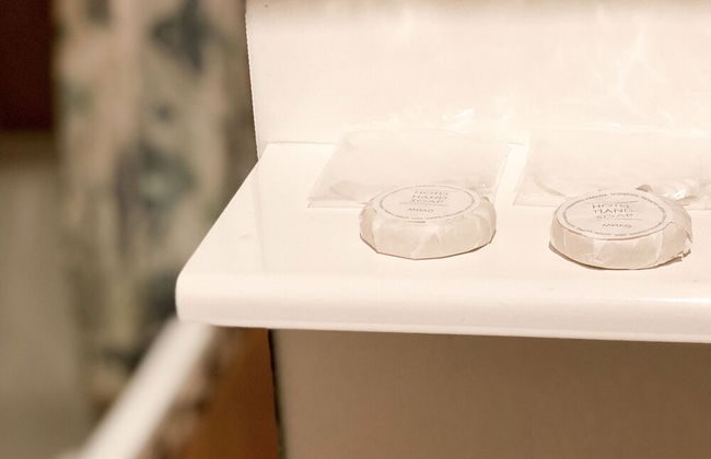 Olga Apartments on Khreschatyk - Photo 32