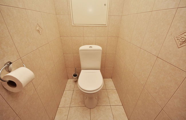 Olga Apartments on Khreschatyk - Photo 28