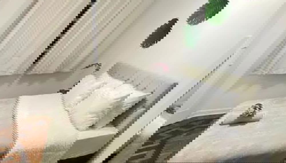Image principale