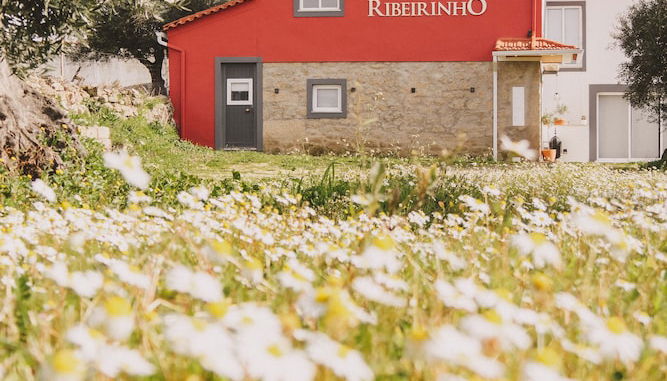 Foto 1 - Chão do Ribeirinho