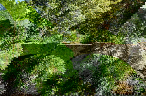 Photo 28 - Weeke Brook in Chagford