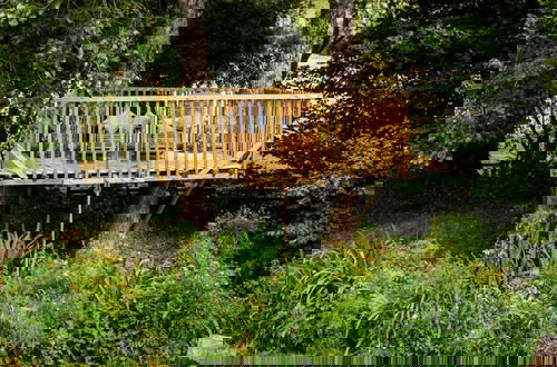 Photo 11 - Weeke Brook in Chagford