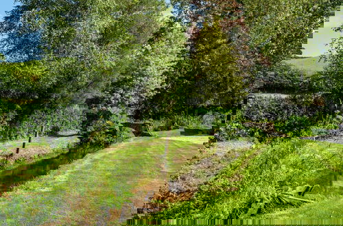 Photo 32 - Weeke Brook in Chagford