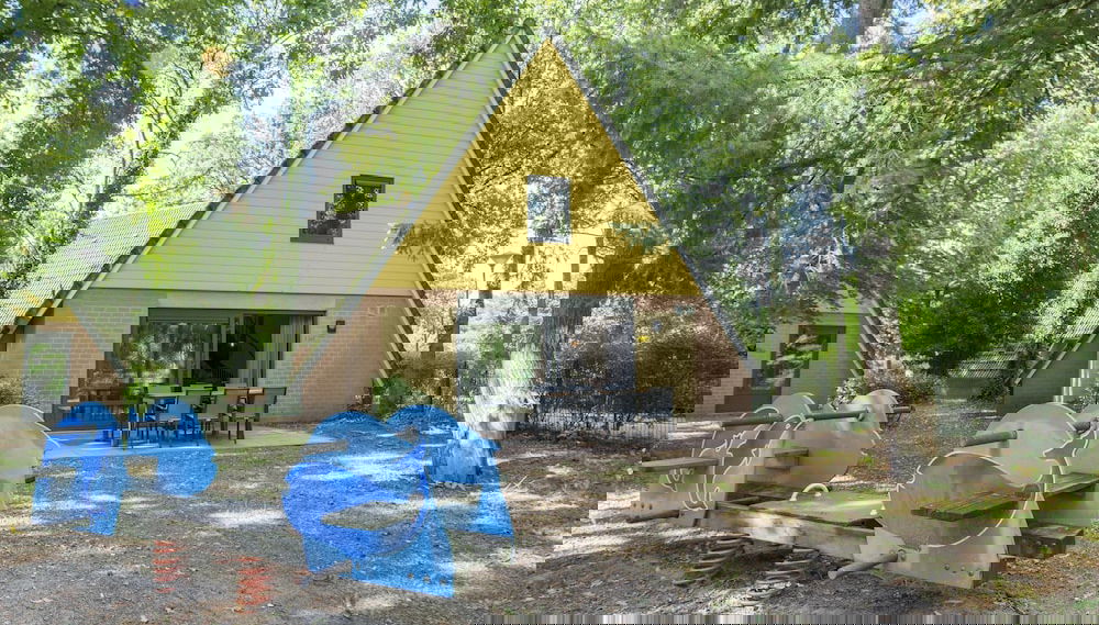 Imagem principal