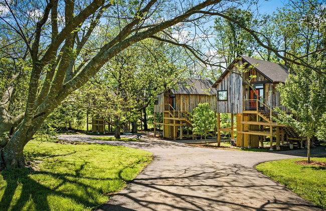 Fairway Treehouses - Foto 34