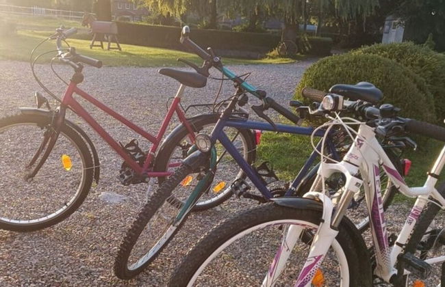 Northern Lights Modern Retreat - Foto 25