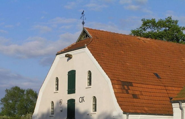 Northern Lights Modern Retreat - Foto 29