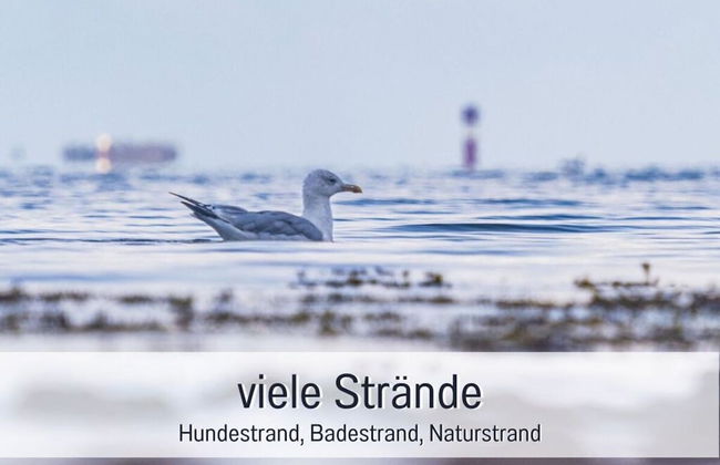 Northern Lights Modern Retreat - Foto 10