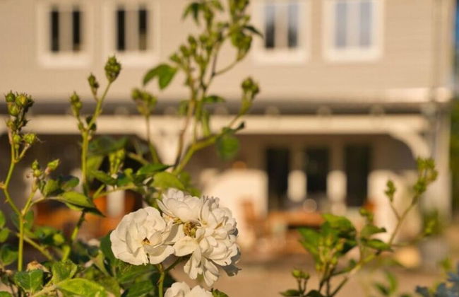 Northern Lights Modern Retreat - Foto 23