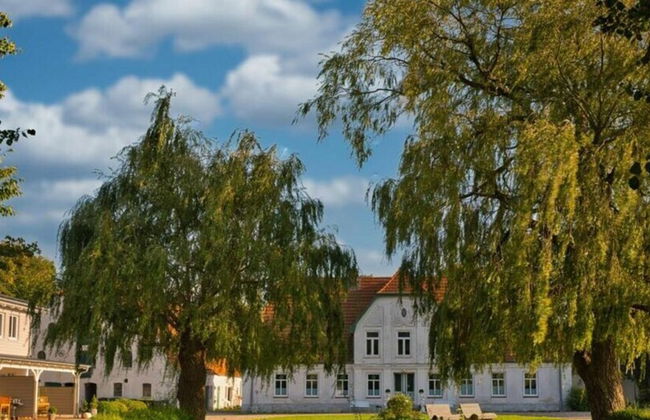 Northern Lights Modern Retreat - Foto 24