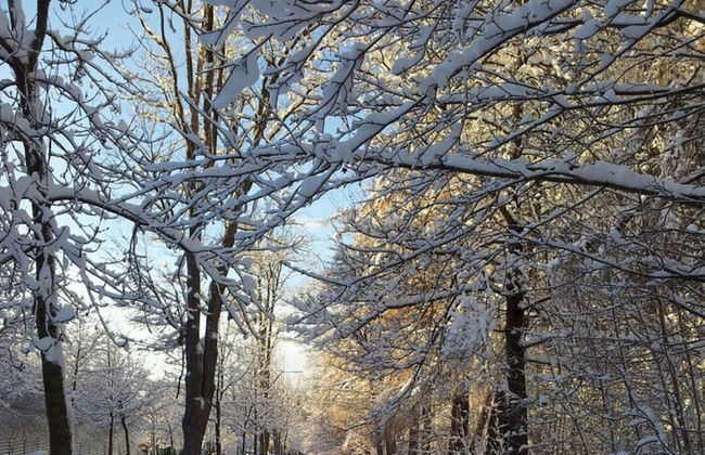 Holiday Maisonette Apartment "keilberg" - Foto 24