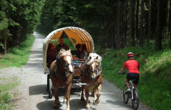 Holiday Maisonette Apartment "keilberg" - Foto 25