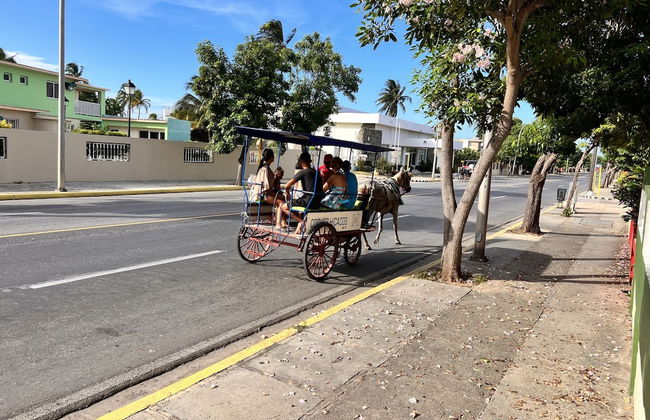 Casa Rosa Mendez - Foto 45