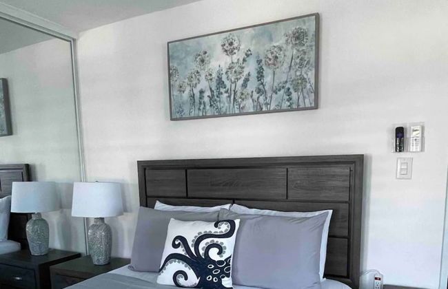 Apartamentos en VIQUES Puerto Rico - Foto 5